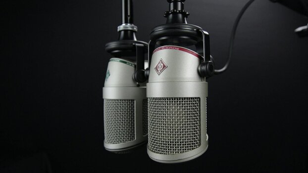 Zwei Graue Kondensatormikrofone