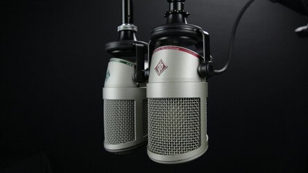Zwei Graue Kondensatormikrofone
